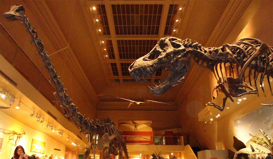 fossil_hall_2013