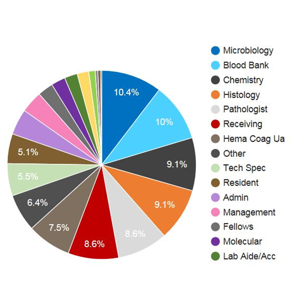pie_chart_02