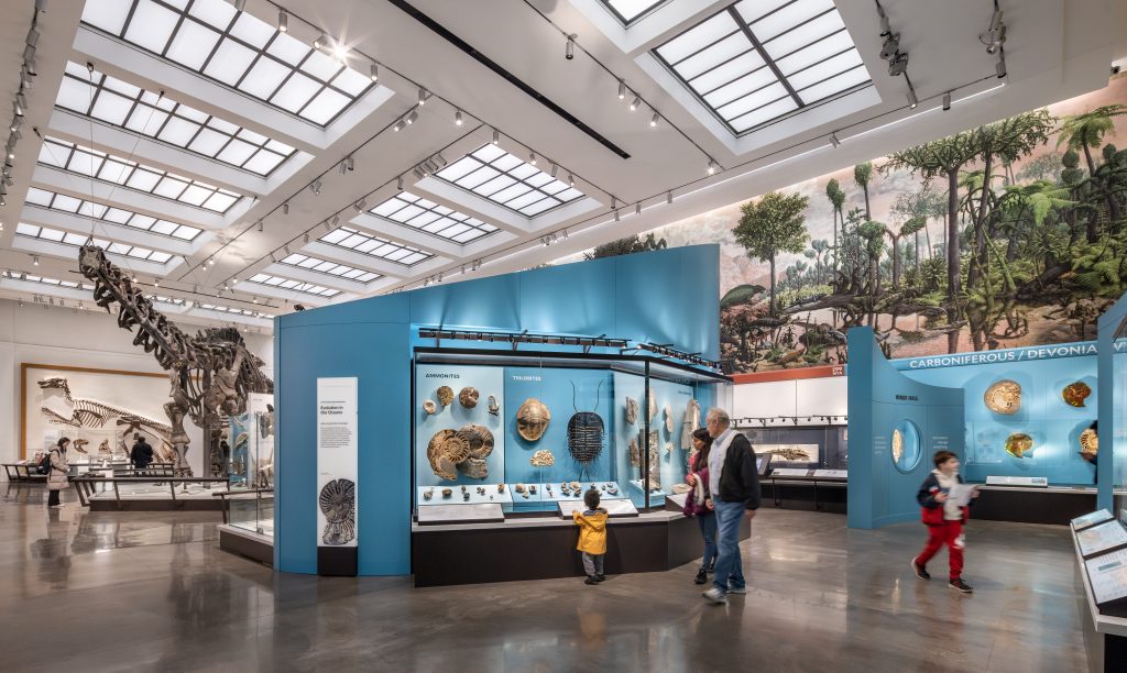 Yale Peabody Museum Of Natural History Ewingcole