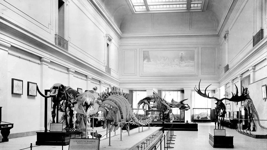Blac and white photo of the Fossil Hall during the early 1900s.